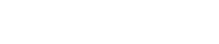 VidaCelular